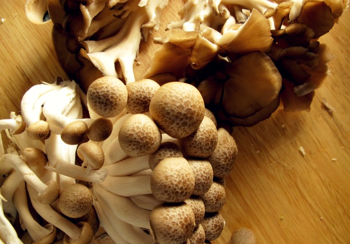 assortment of mushrooms